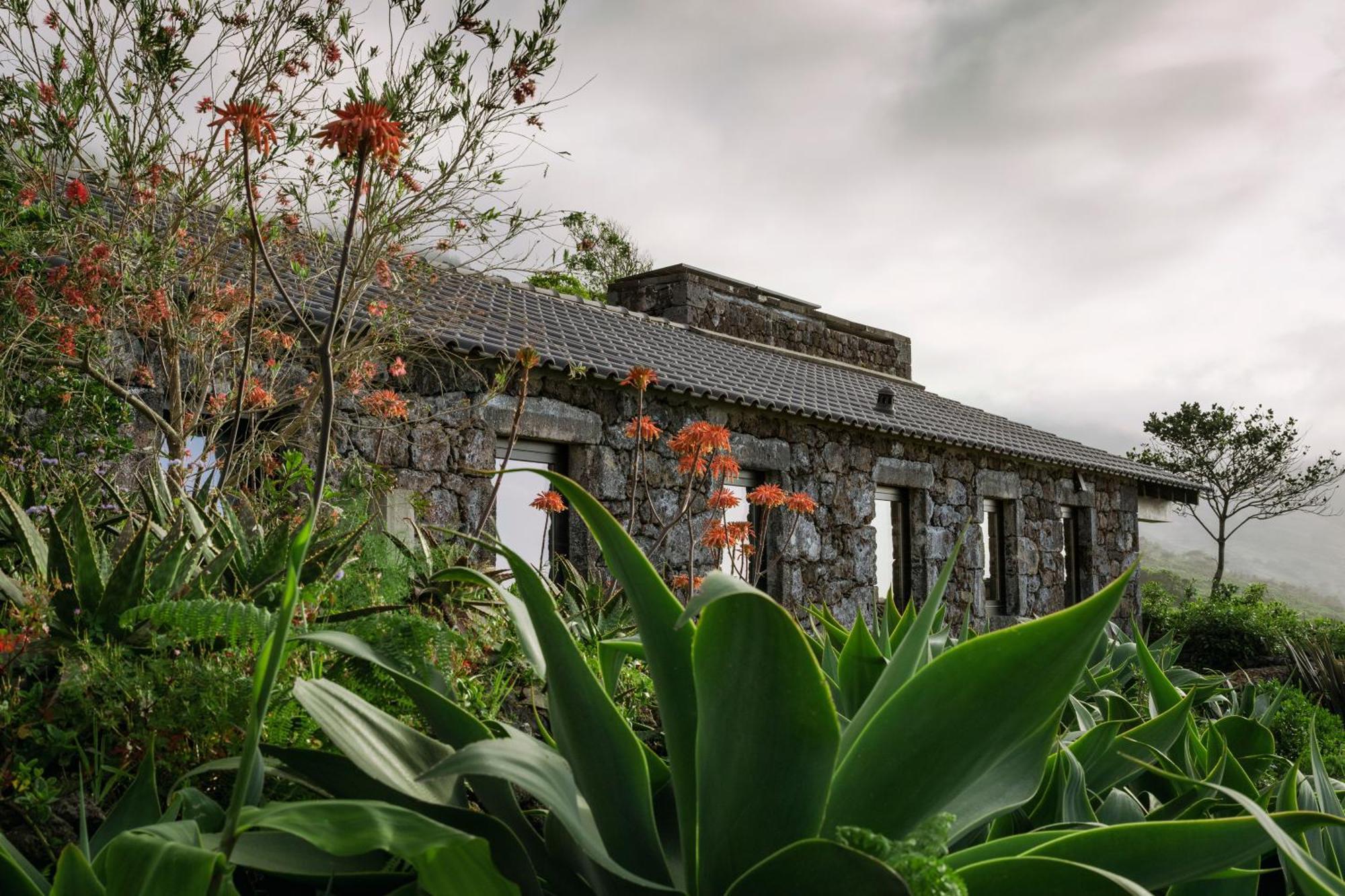 Lava Homes Santo Amaro  Extérieur photo